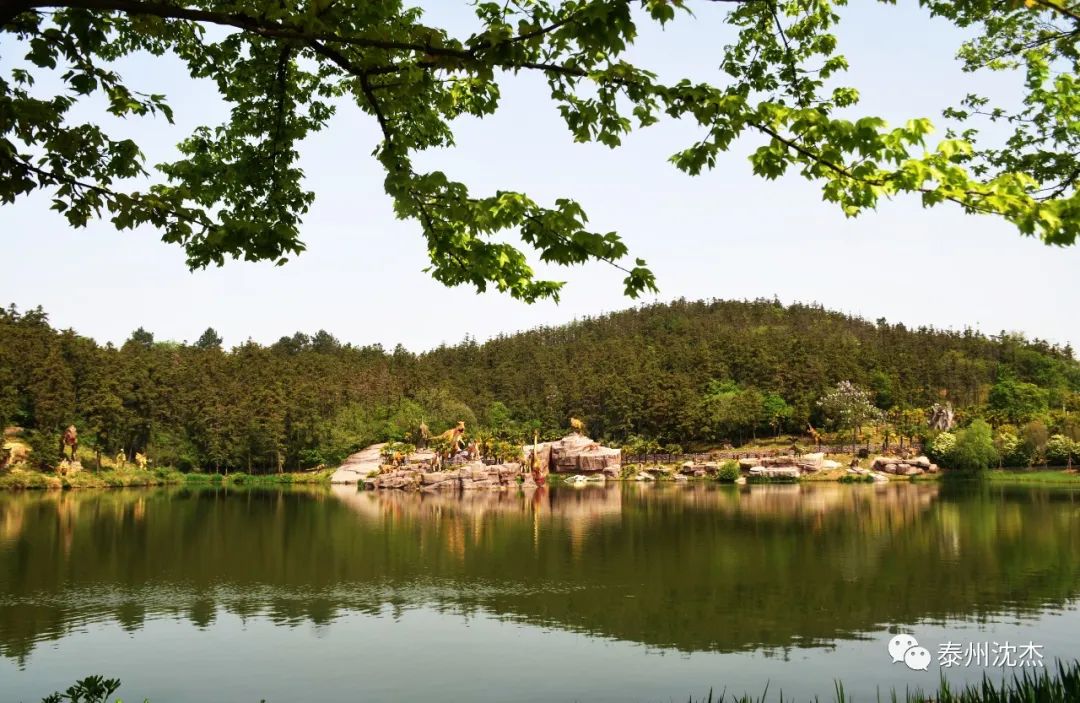 南京银杏湖春游,银杏湖乐园旅行