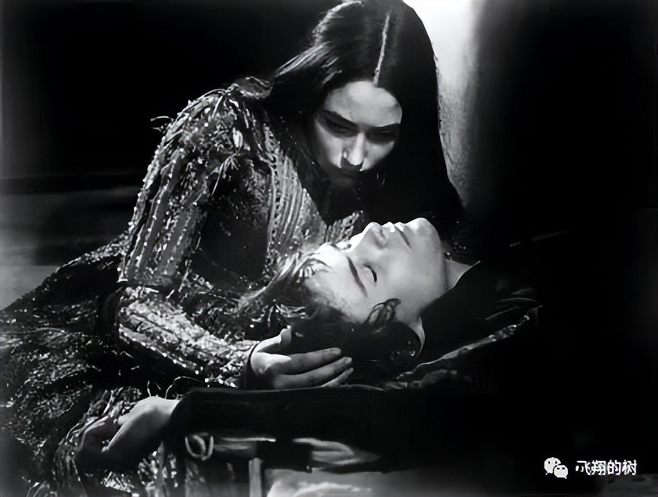 侯景之乱侯景最后结局,侯景之乱最大赢家西魏