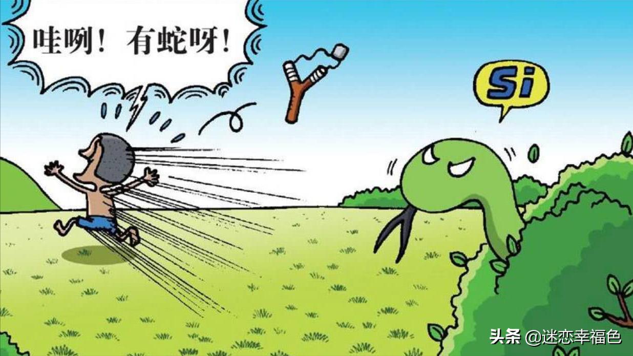 大黑熊伤人,黑熊是怎么伤人的