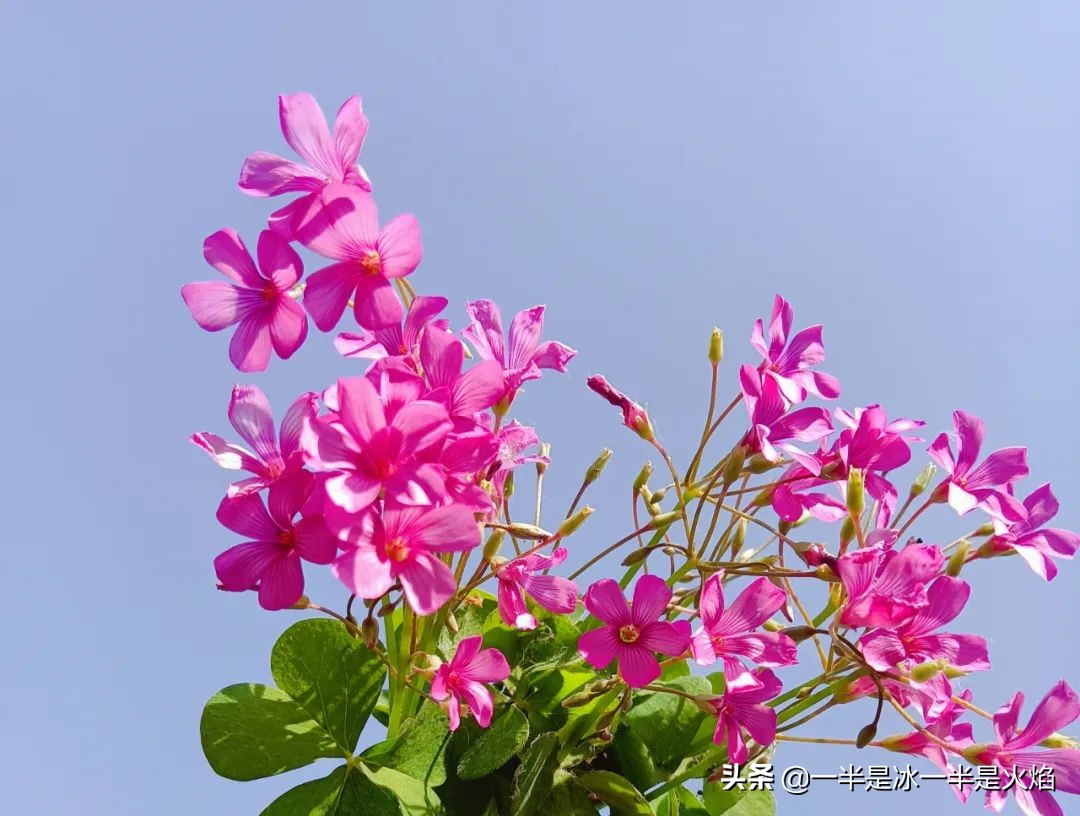 随笔世间百态,一句时光随笔