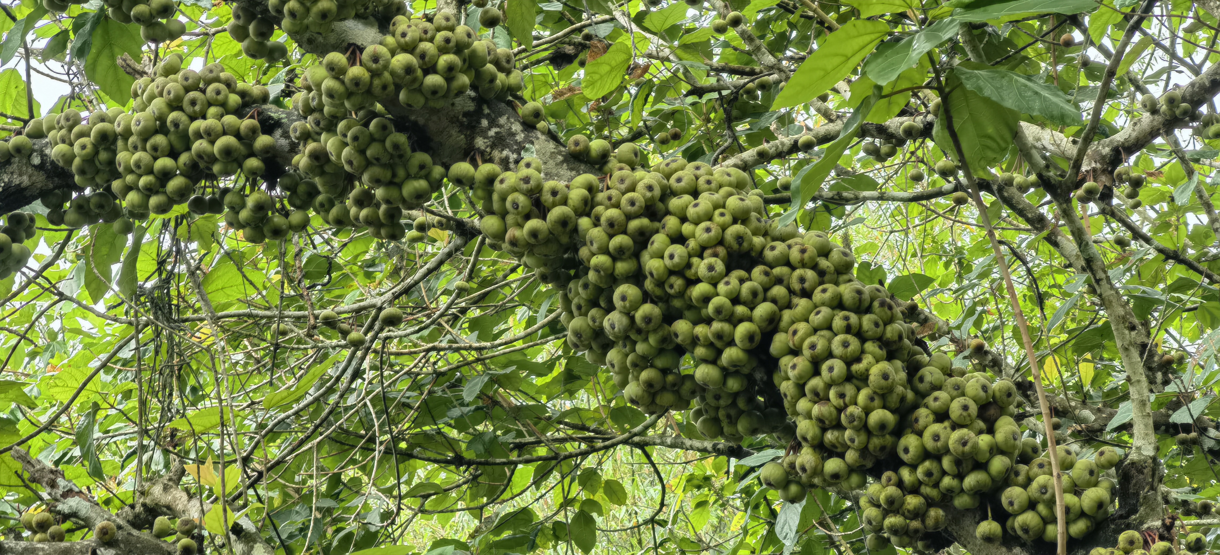 修车奇遇记录vlog,修车奇遇