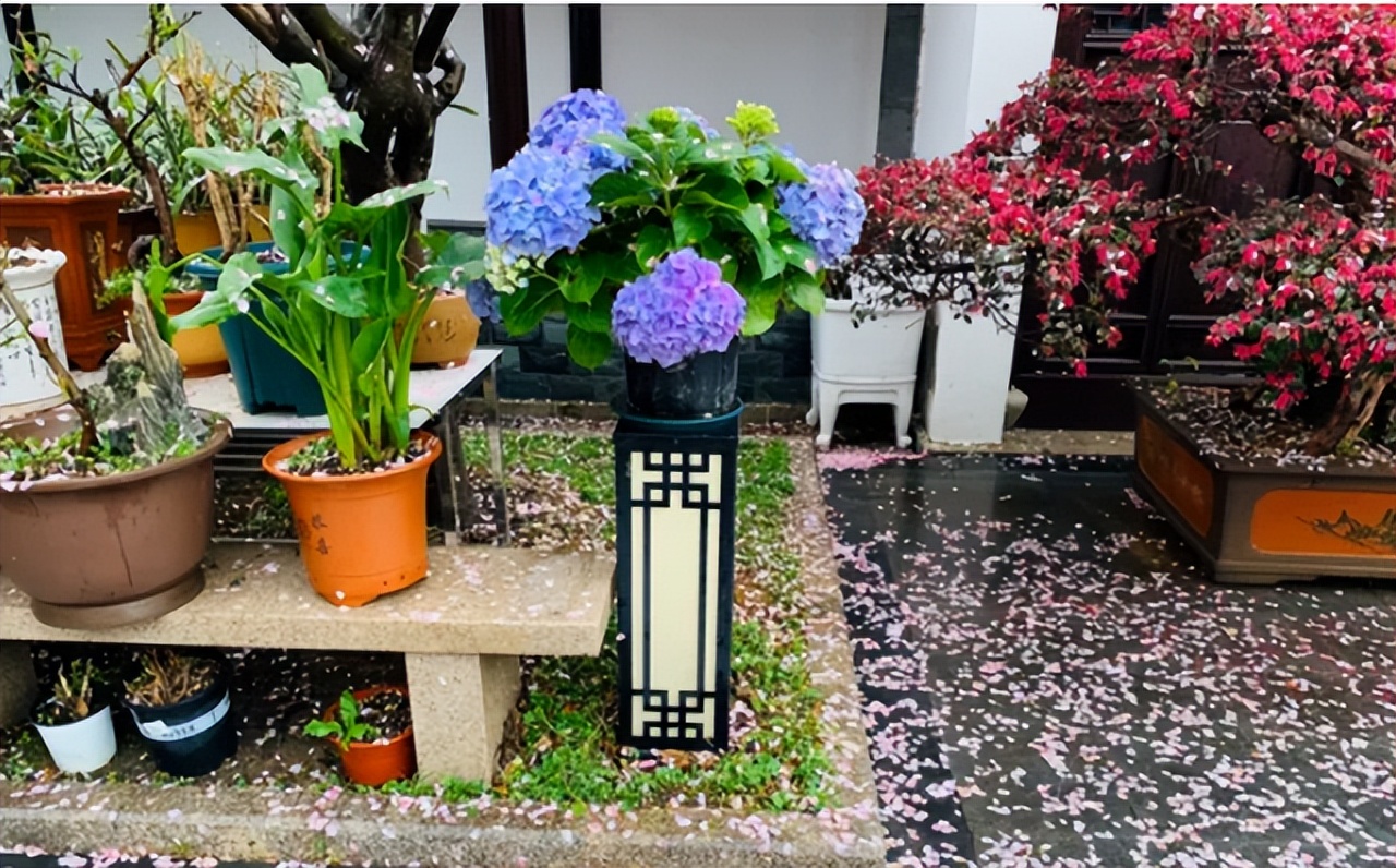 花多多是磷酸二氢钾吗,花多多2号是智商税吗