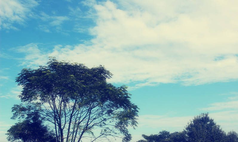 高一高二没怎么学高三怎样逆袭,高考没考好也能上985名校的方法