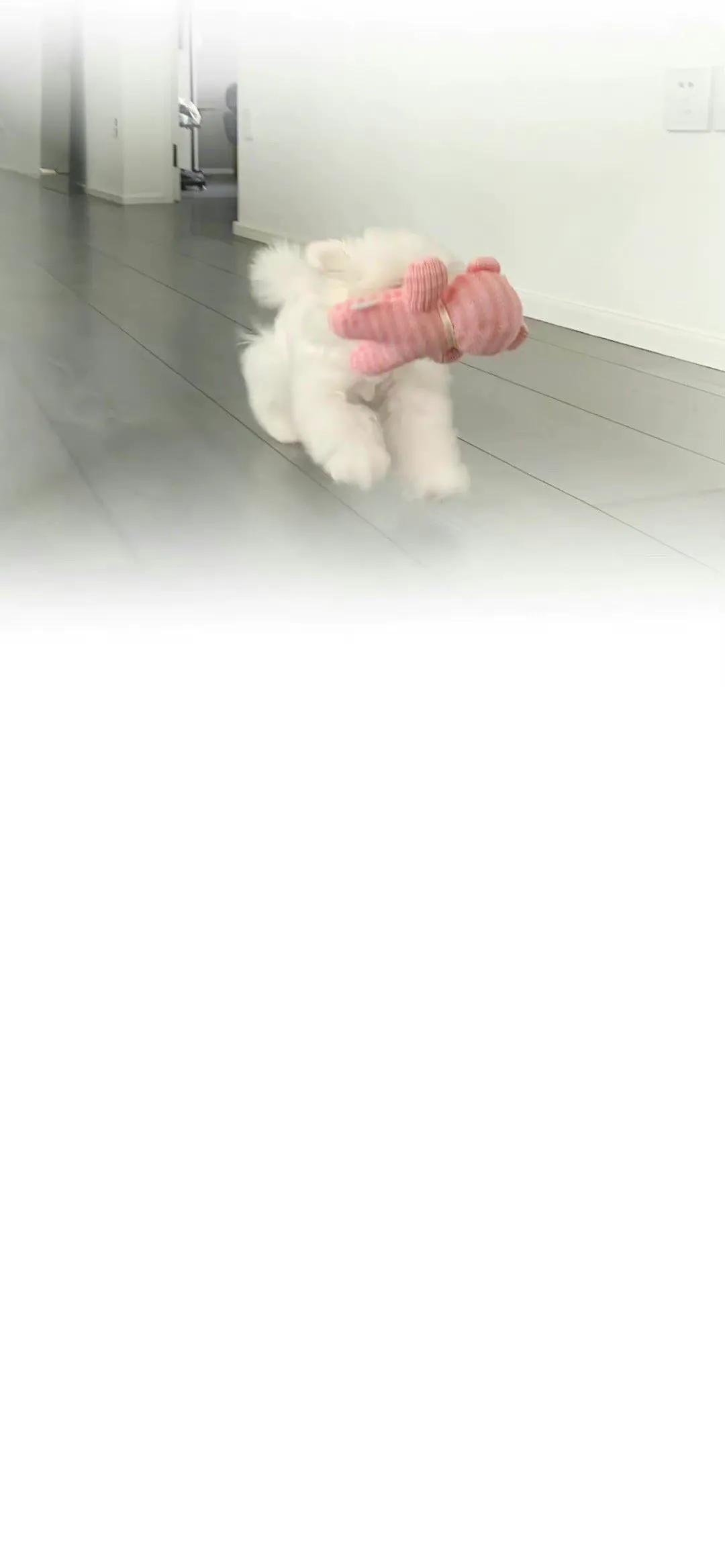 聊天背景图高清无水印清新,好看的聊天背景图唯美清新