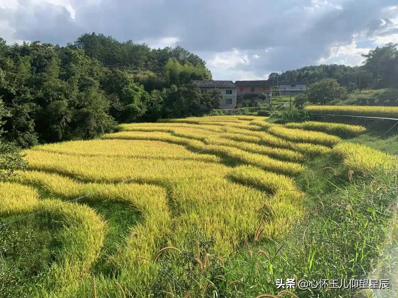 一旦发生战争需要购买什么物资,一旦战争打起来什么东西最不值钱