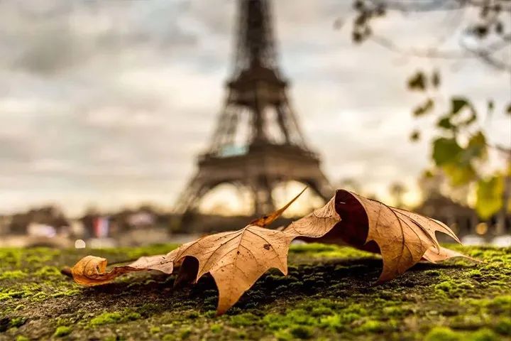 9月“羽绒寝具及被子”出口统计/法国民众抢购羽绒被等保暖品