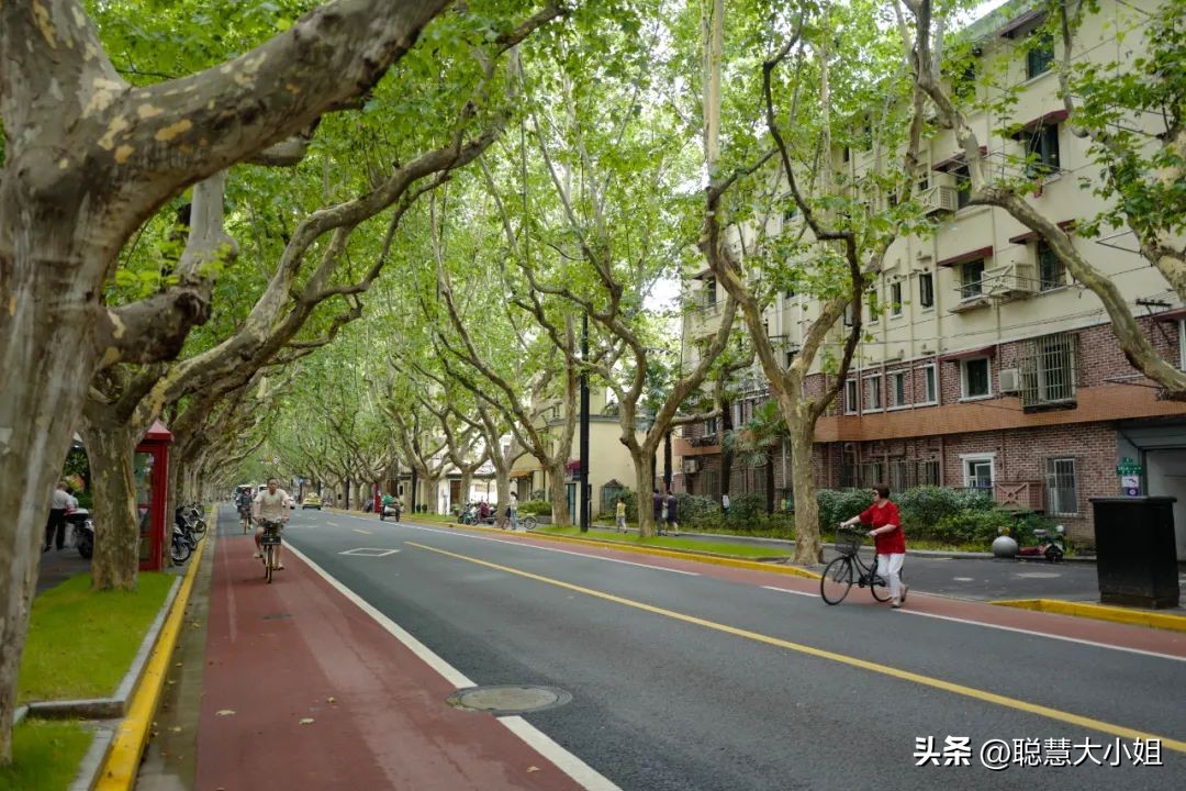 去这条充满松弛感的“小马路”，慵懒地溜达一天才是正经事