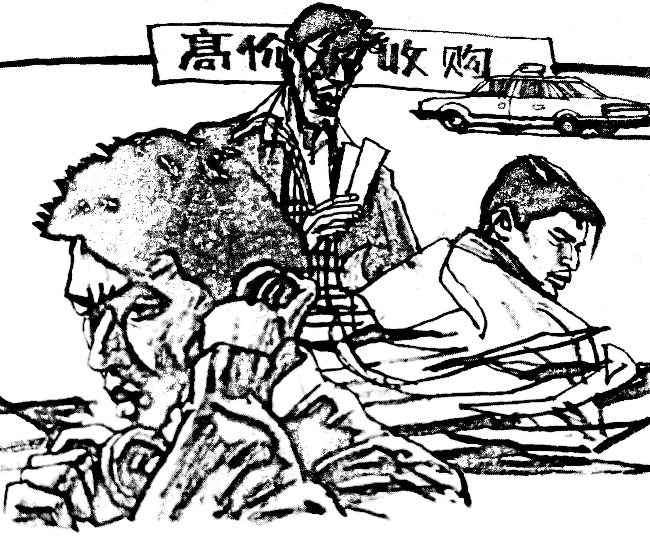 高价收购介绍,高价回收电话号码