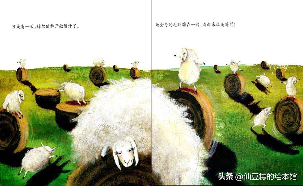 绘本精读讲解完整版,绘本精读课全部