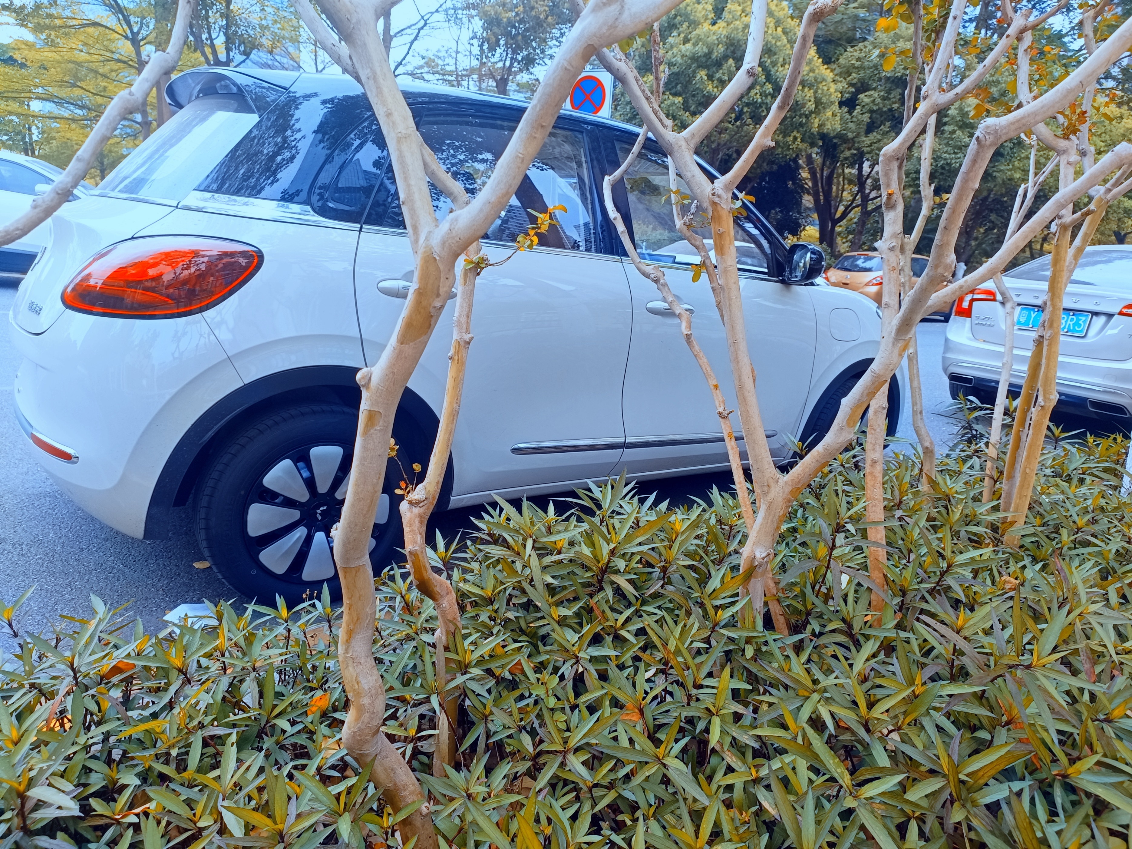 5.98万缤果实测,5.98万缤果配置