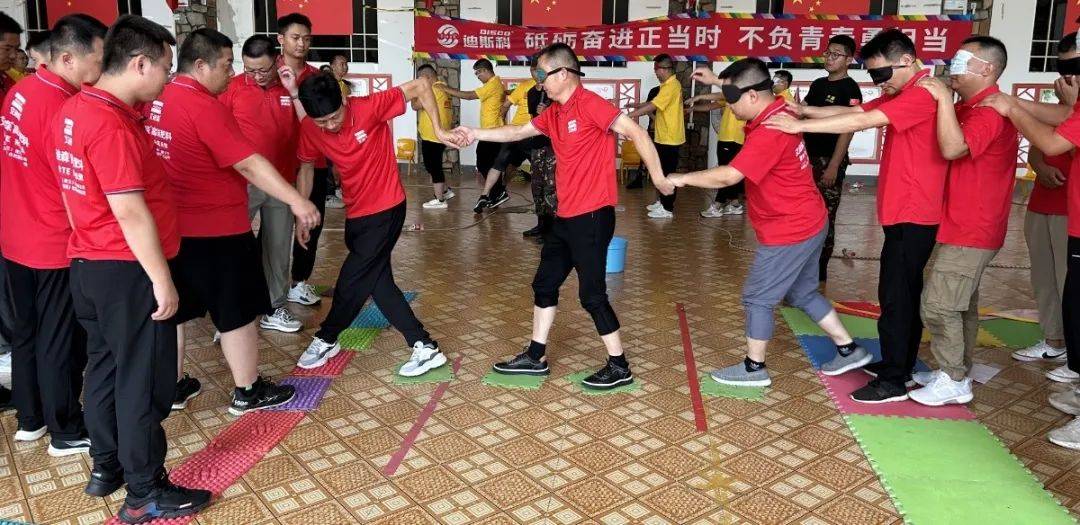 迪斯科集团,迪斯科集团公司