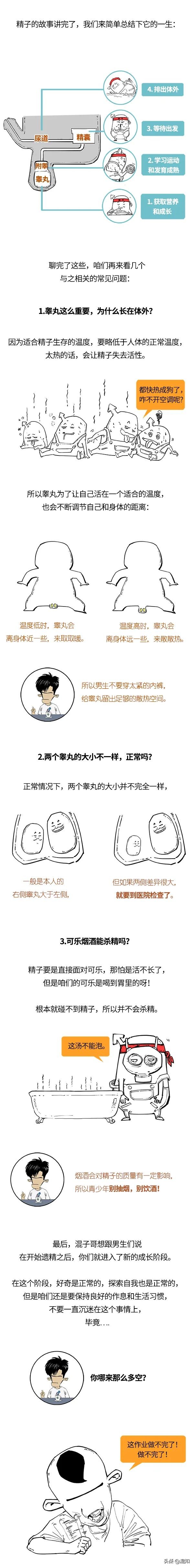 青春期男性遗精,青春期男性遗精规律