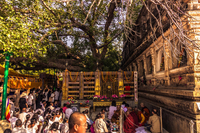 一花一世界一叶一菩提视频,一花一世界一叶一菩提歌词
