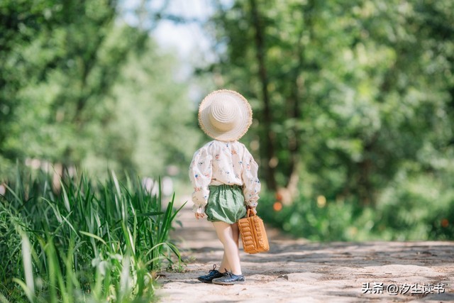 小王子适合成年人看的故事书,小王子一部写给成年人的童话书