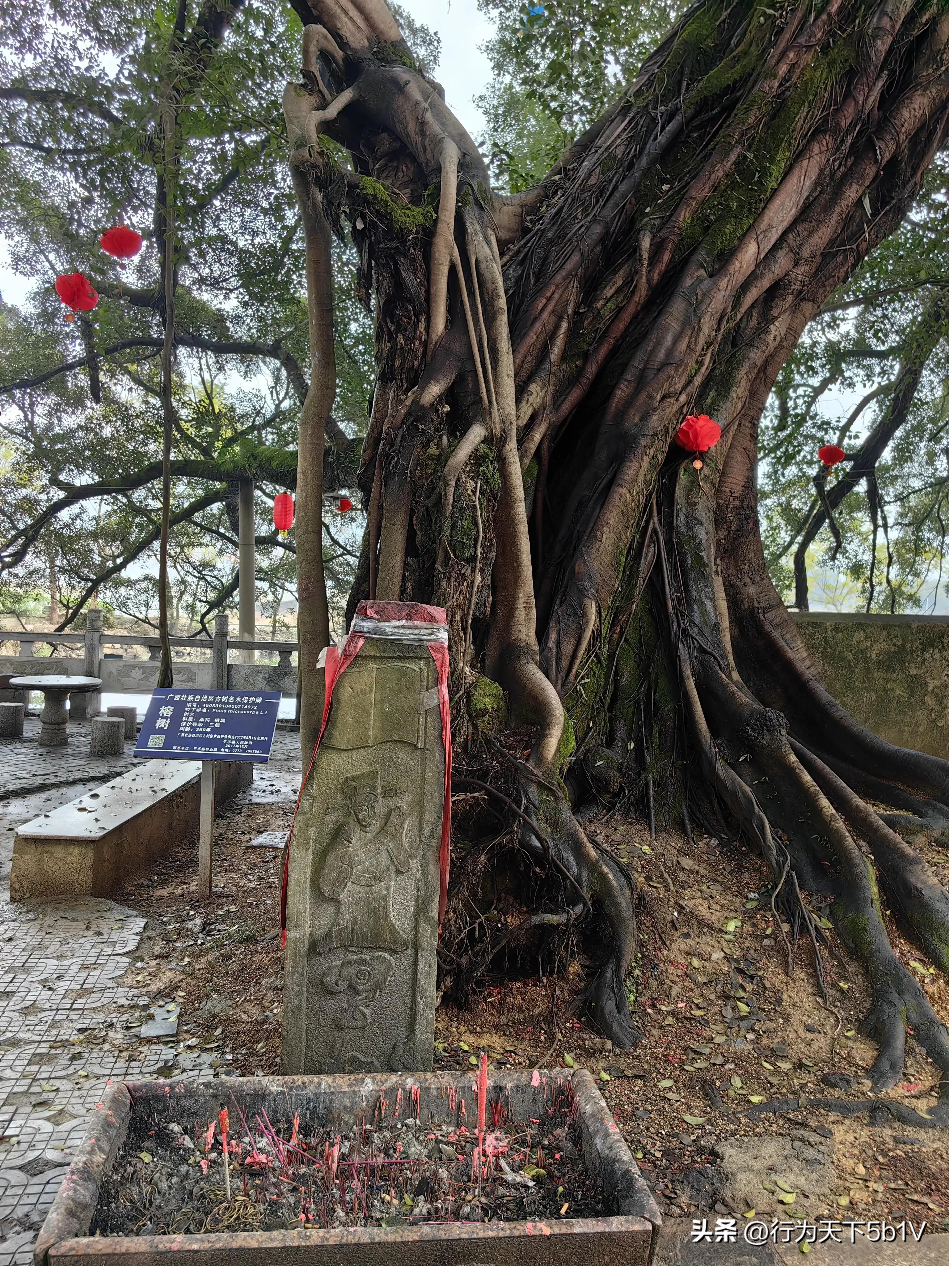 【平乐十里画廊鬼斧神工伟人石像】穿越唐*平宋**乐榕津千年古镇！