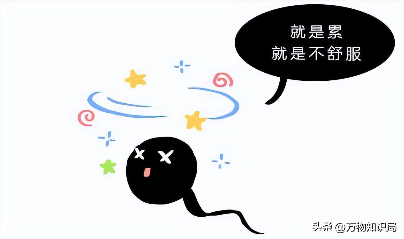 进入女性体内后，没“受精”成功的精子都去哪儿了？既好笑又心疼