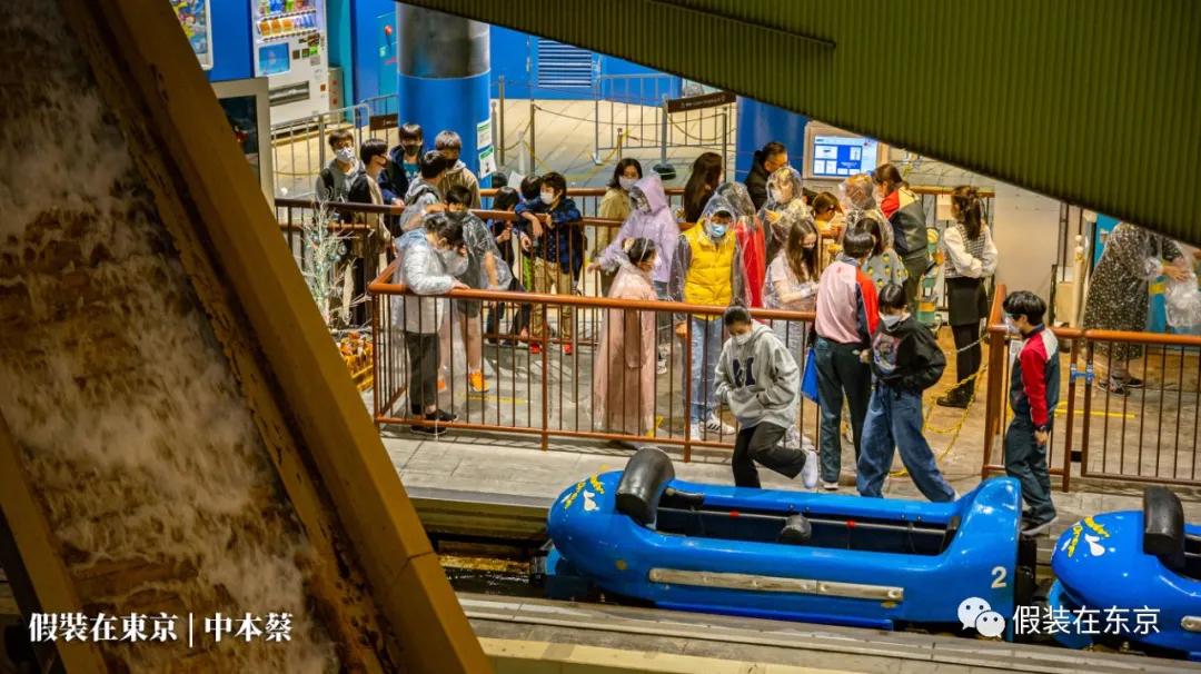 365张照片回顾,365张相片