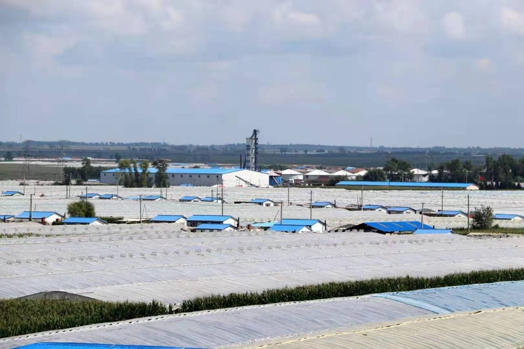 从“粮囤子”到“菜篮子”！榆树市八号镇北沟村大力发展棚膜产业扫描