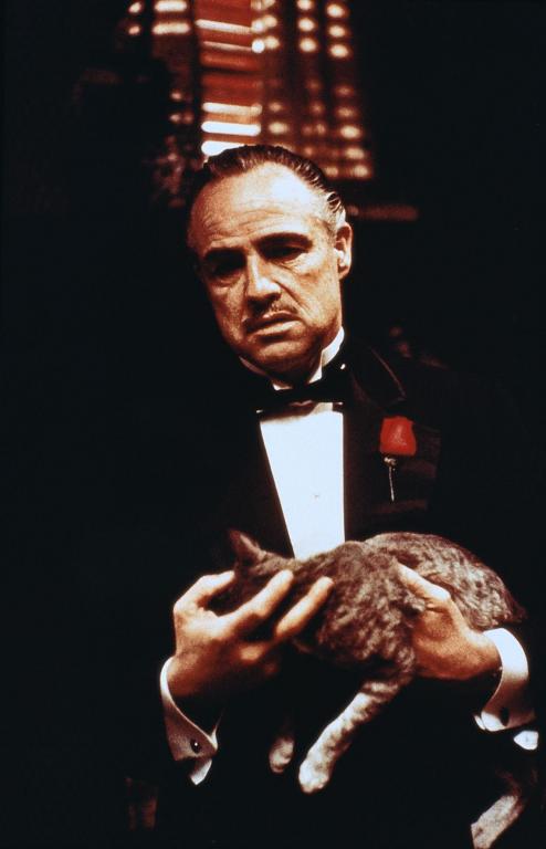 全球高分电影排行榜top100,全球高分榜电影推荐