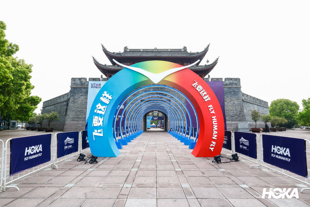 从阿尔卑斯山脉滑雪下来,从阿尔卑斯山飞下去