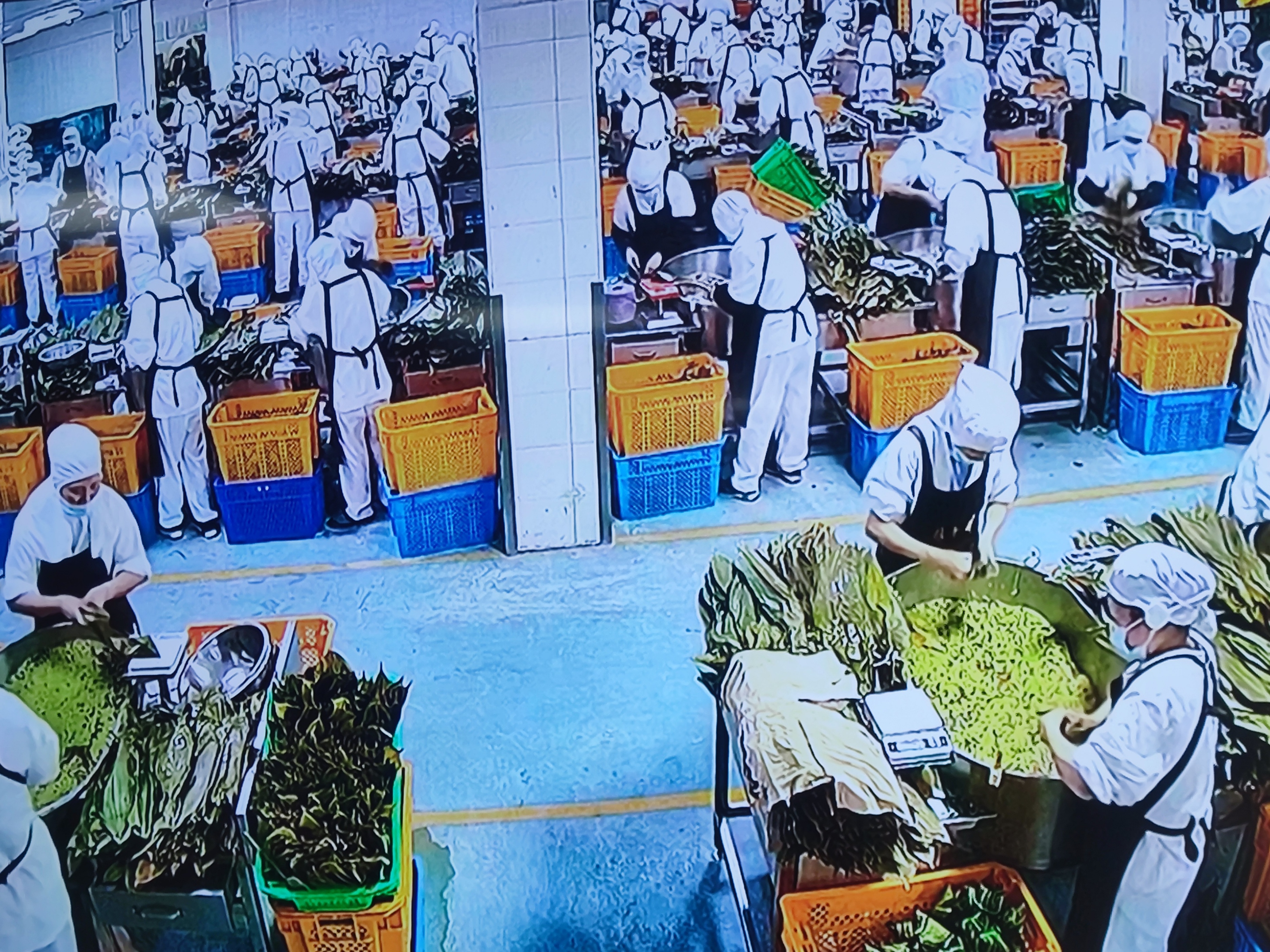 姚九华与“粮午斋”