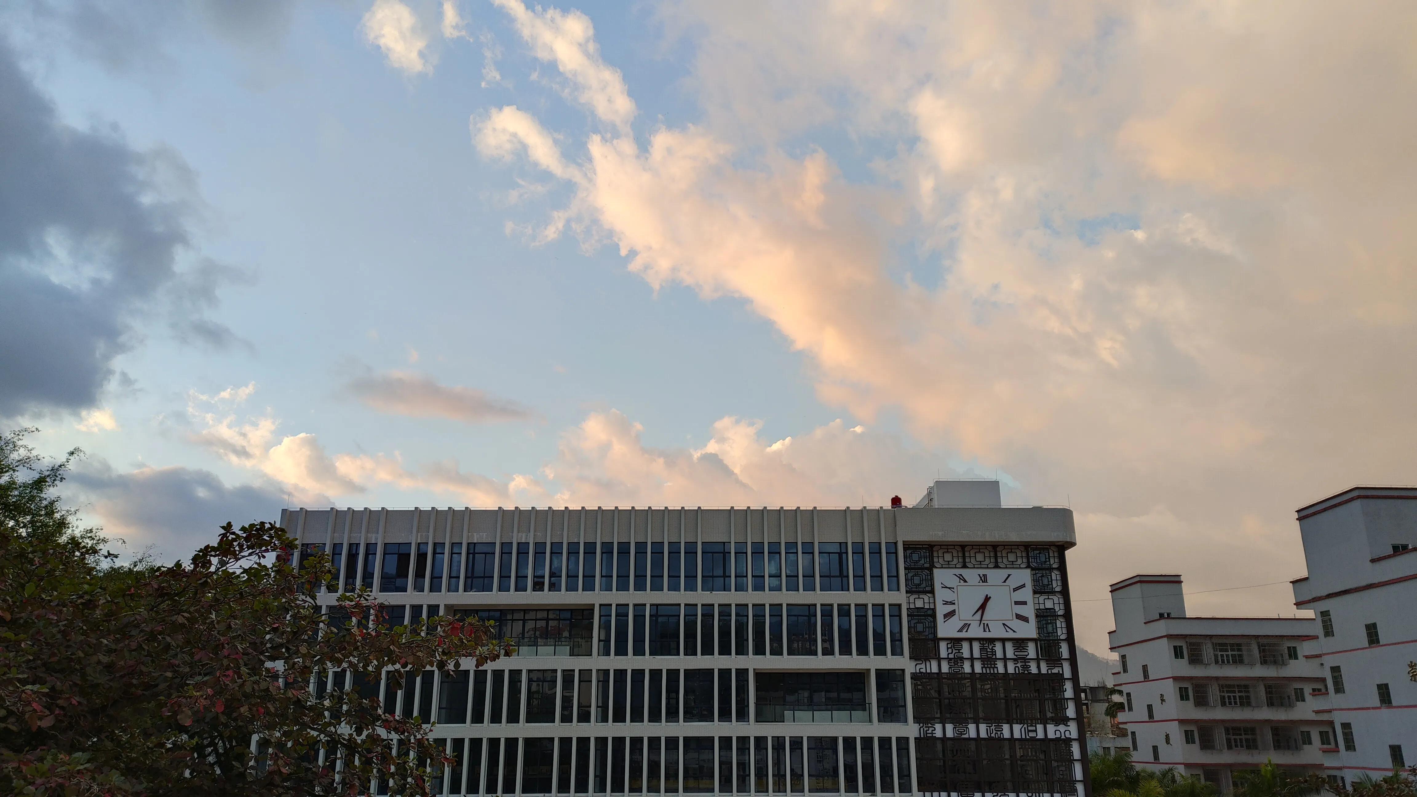 生物选择性必修一稳态与调节,生物高一必修一免费教学视频