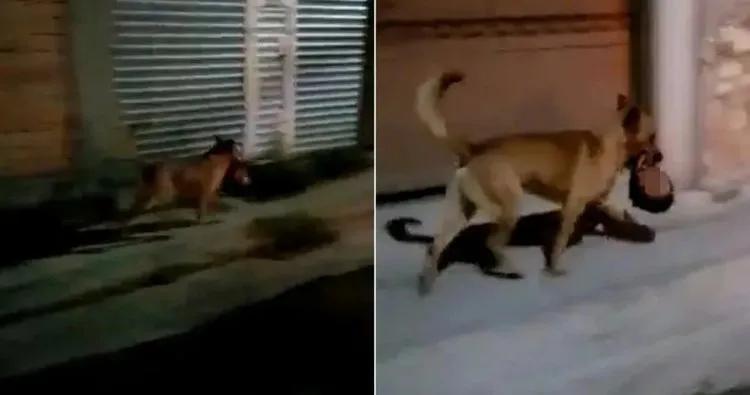 墨西哥是个什么国度,墨西哥离天堂很远但是离美国很近