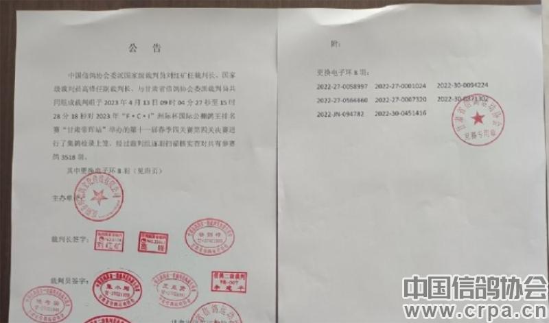 冠军高分速归巢！“洲际杯”甘肃帝珲站509公里决赛精彩回顾