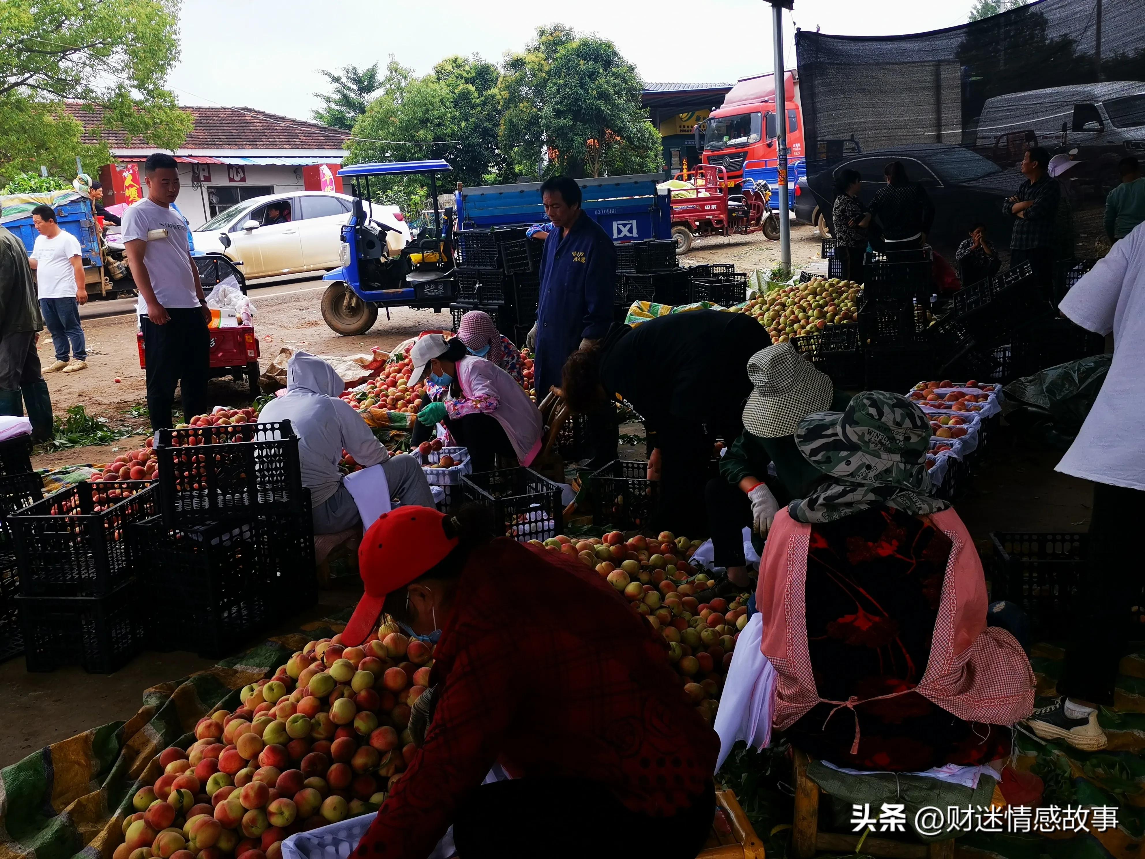 零投资快速赚钱方法,零投资的赚钱方法哪里有