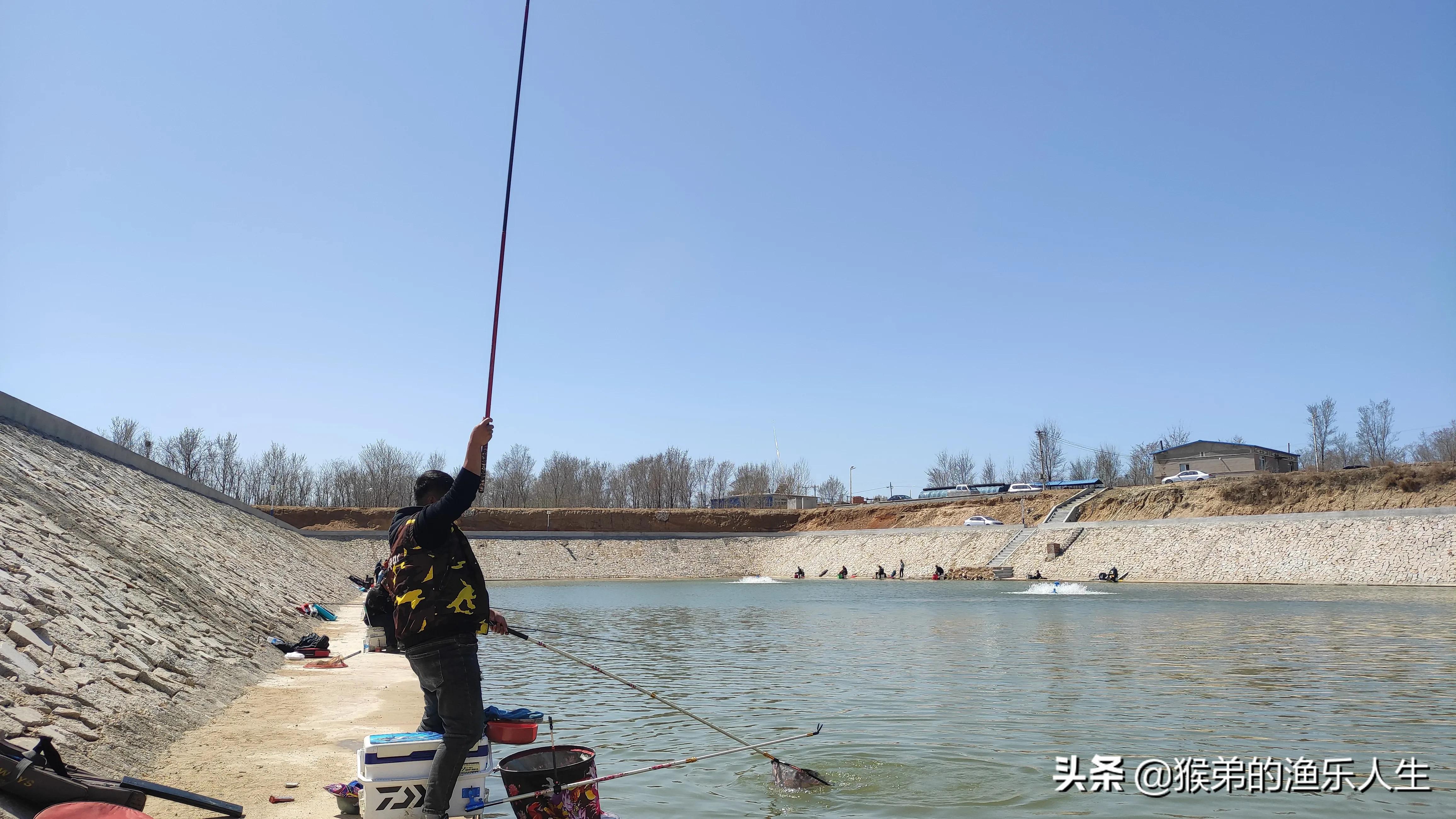 丸九饵料为什么不能揉打,丸九饵料为什么没有腥味