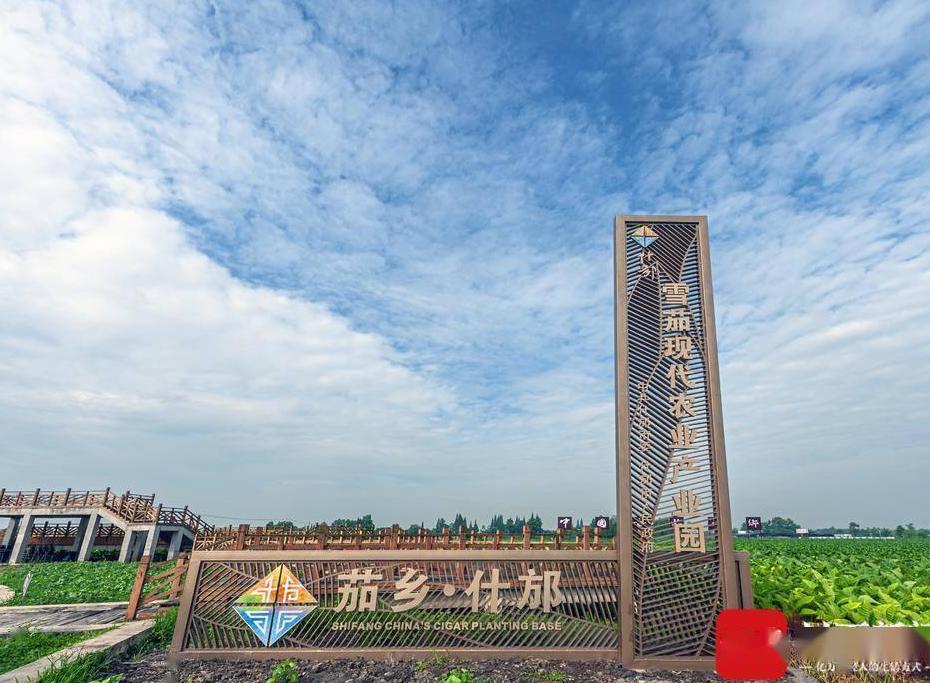 1969年，*先念李**抽雪茄，毛主席试尝后：这烟很好，为何不告诉我？