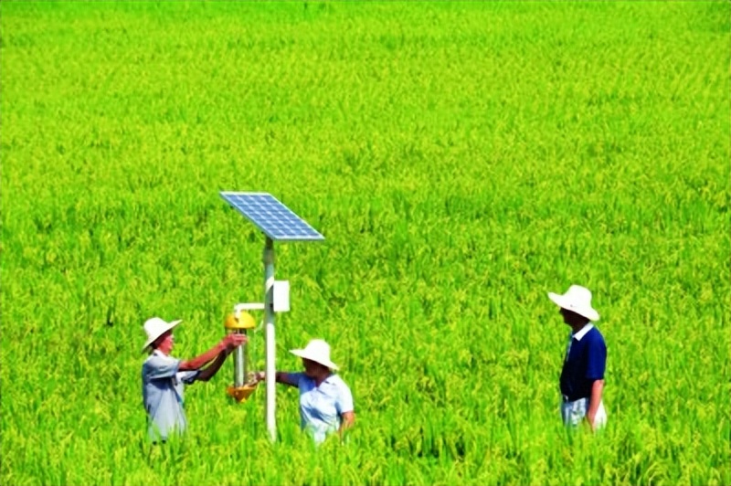 生态农业发展的现状及前景,生态农业发展的现状及前景例子