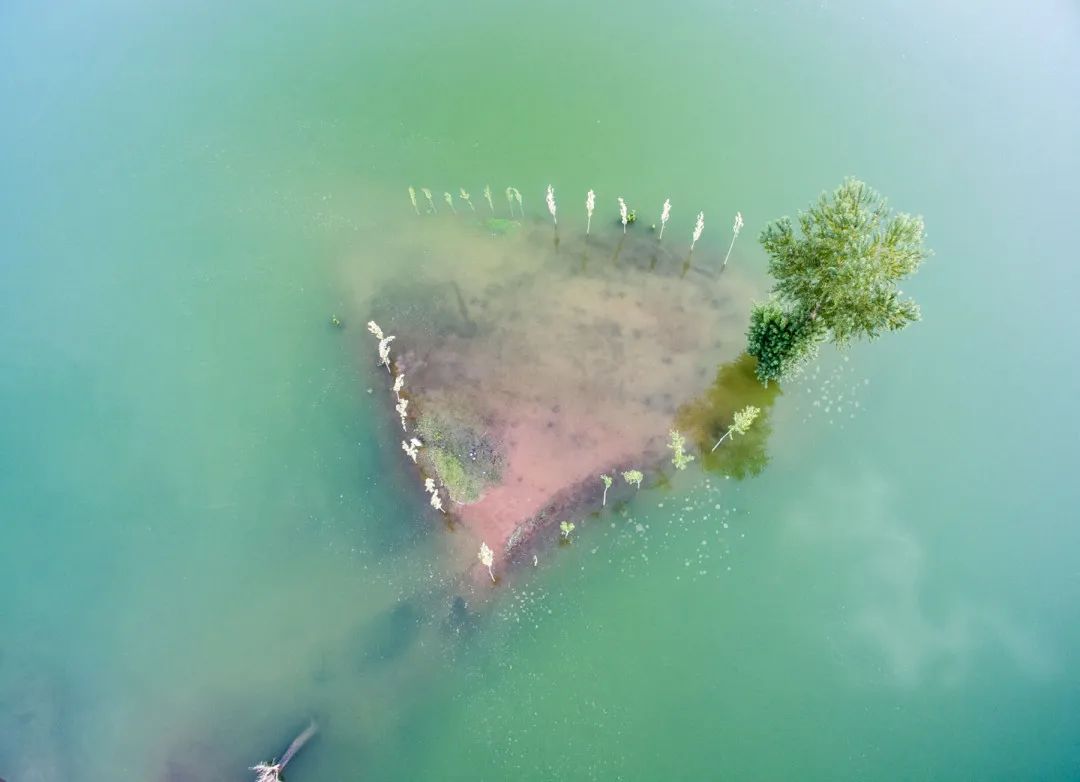 迎接党的20大美术作品,喜迎二十大乡村摄影展