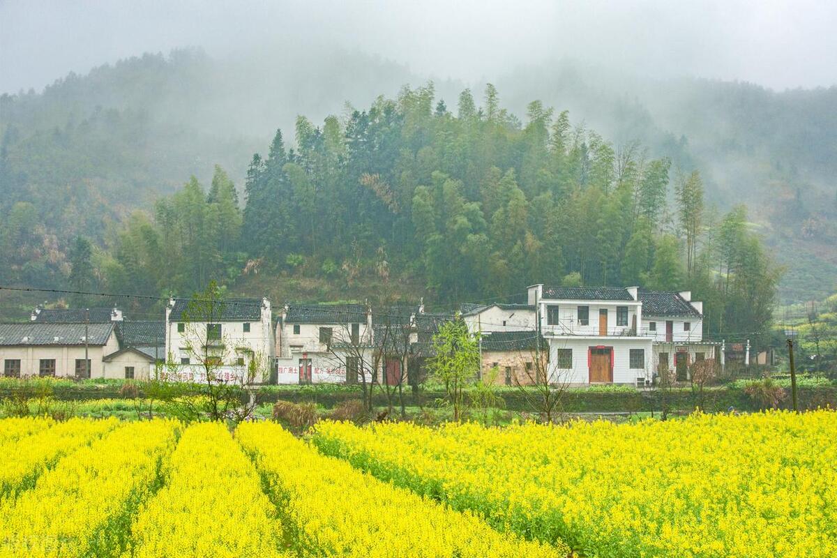 描写下雨和思念的古诗,描写下雨天的景色的古诗