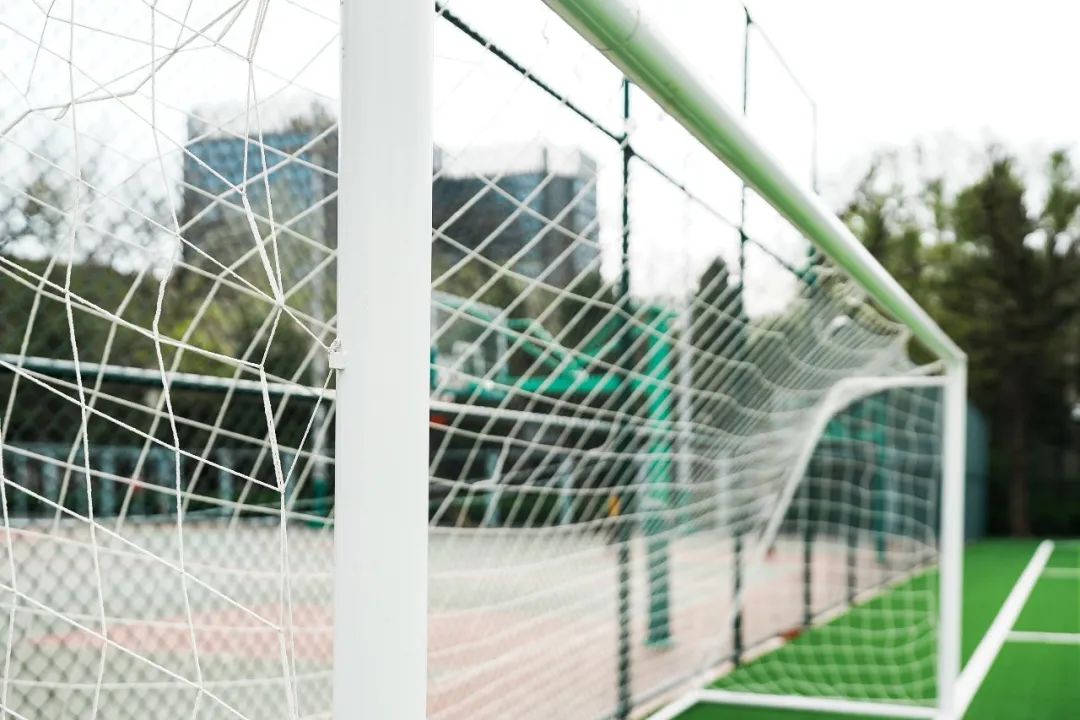 足球场改造扩建,最新足球场开放