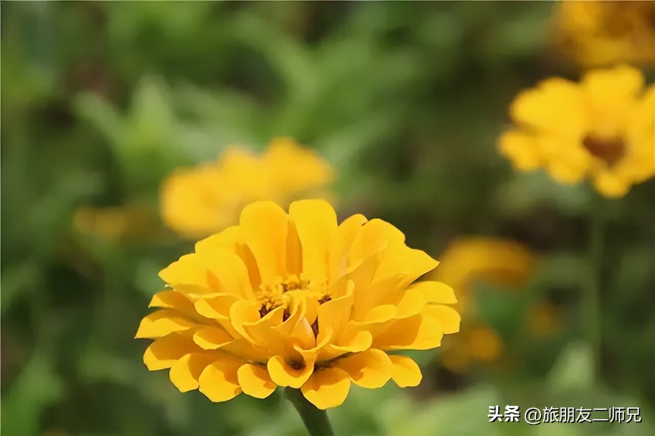 佛山广州两天两夜游玩攻略,佛山去南海湾森林公园