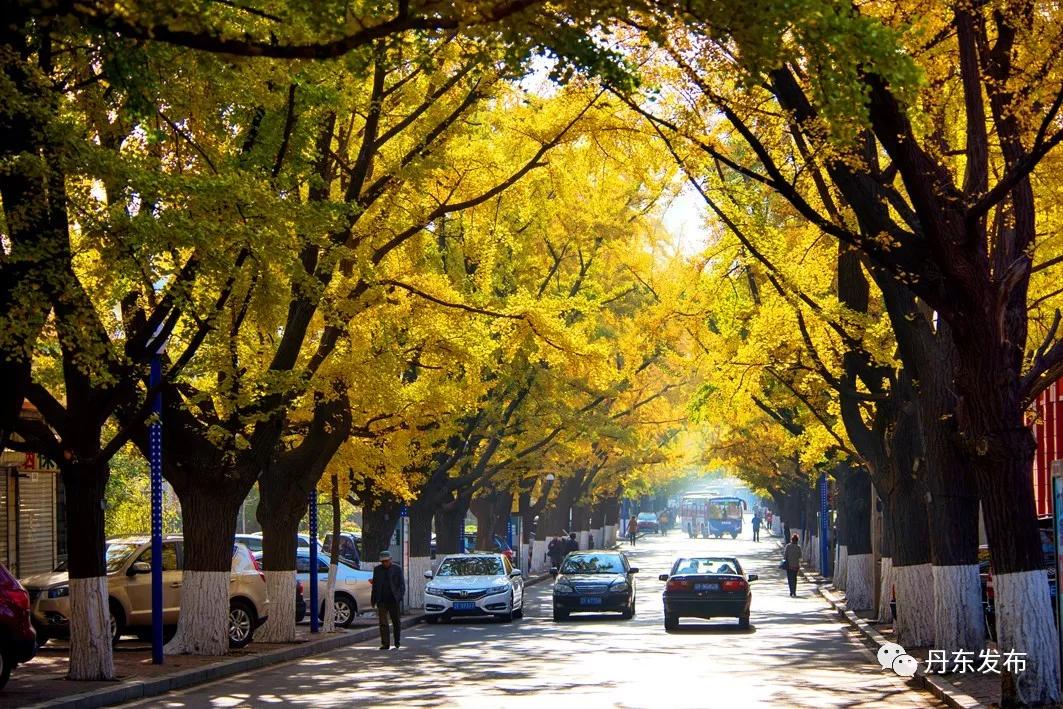 【丹东印象.三美】所以,丹东是辽宁最“温暖湿润”城市?