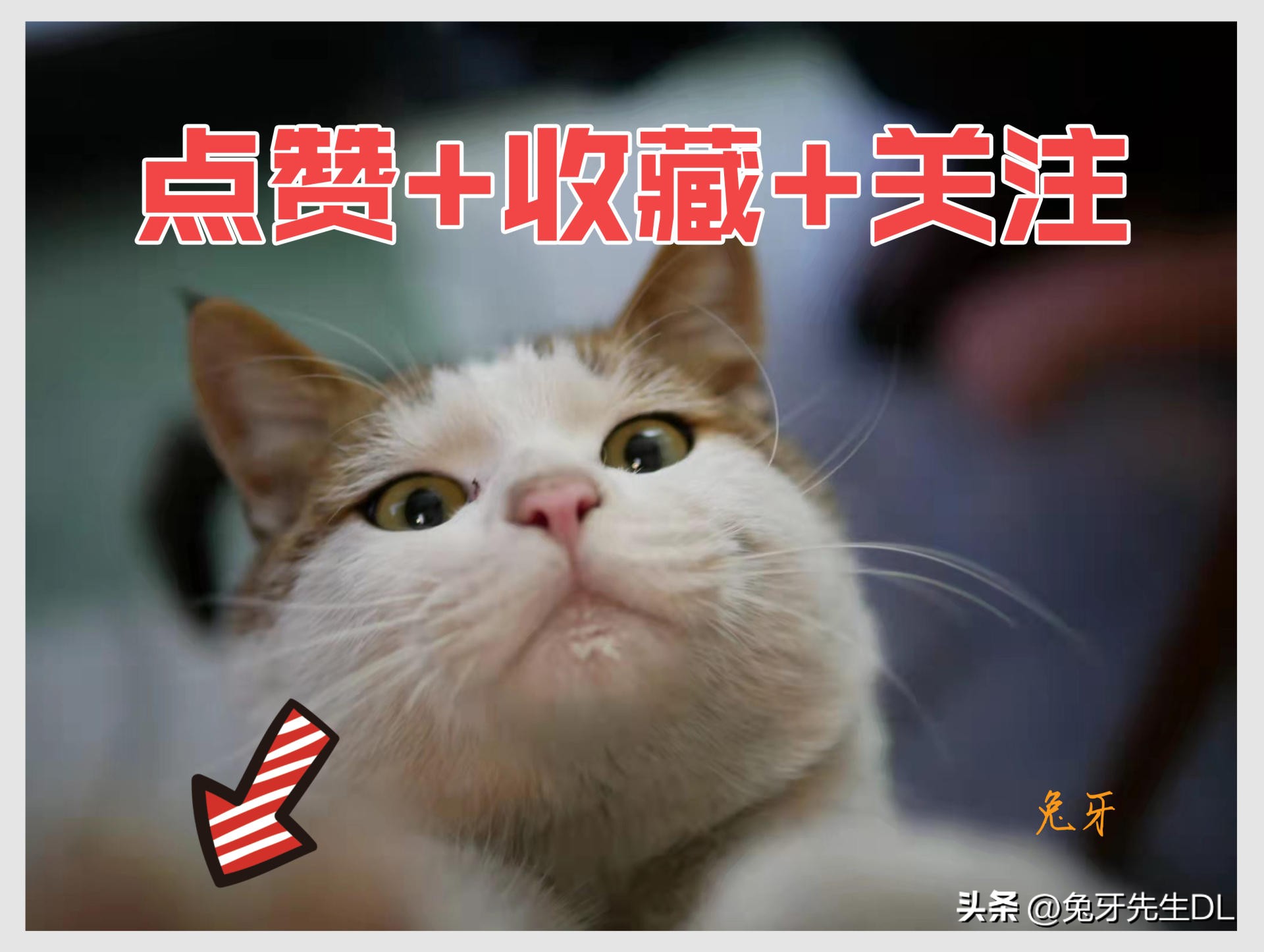 双11好物推荐 (双11购物车必备清单)