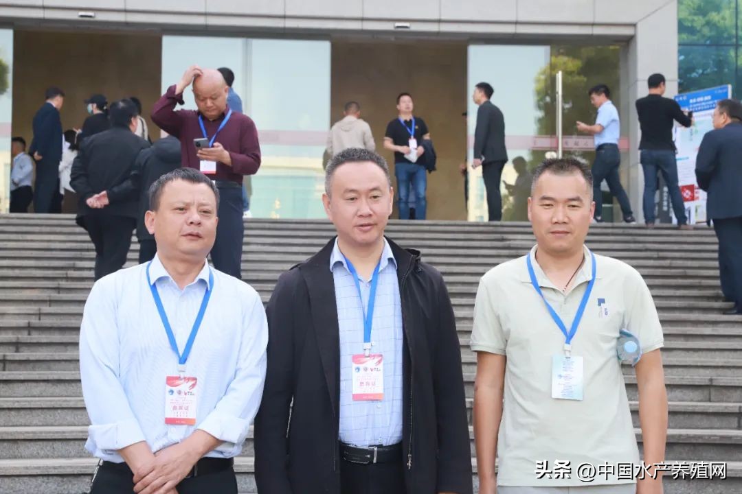 2023年南县小龙虾价格行情,南县小龙虾价格报价