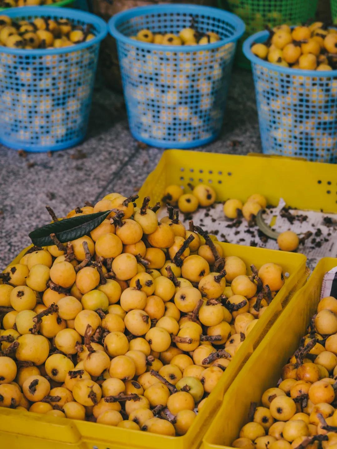 葑门横街改造好了没,苏州姑苏区葑门横街改造规划