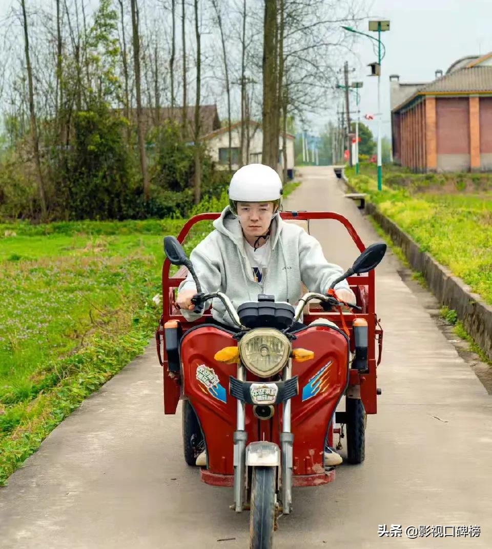 冷饭炒出热度,炒冷饭综艺芒果台