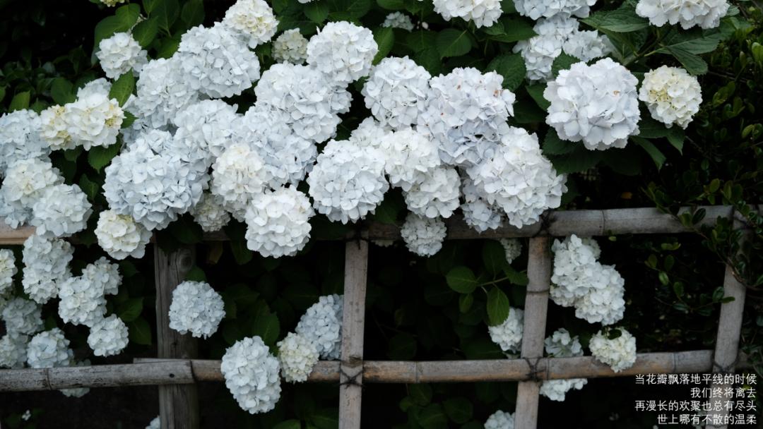 谐音梗搞笑段子全部,谐音梗搞笑的段子