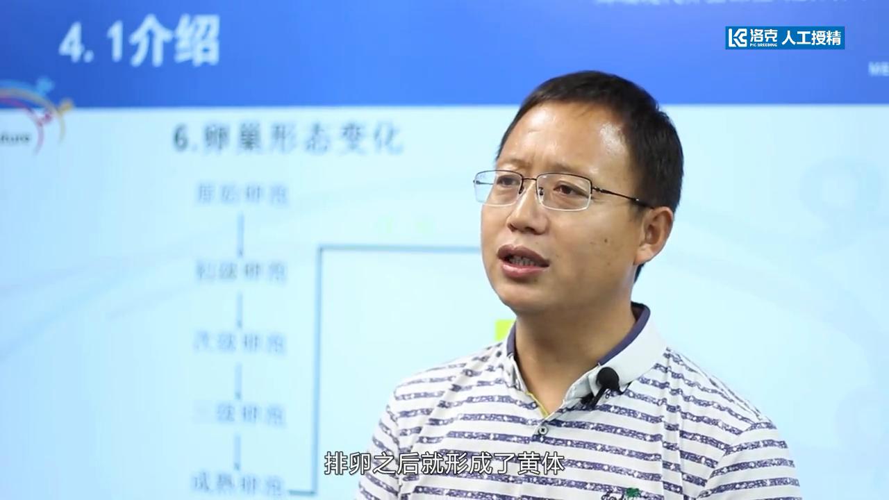 猪人工授精技术发展史,猪人工授精技术操作规程