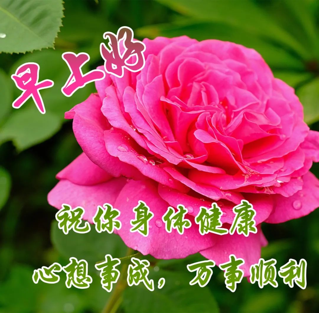 大家早上好带文字问候动态图片,最新早安问候健康平安动态图片