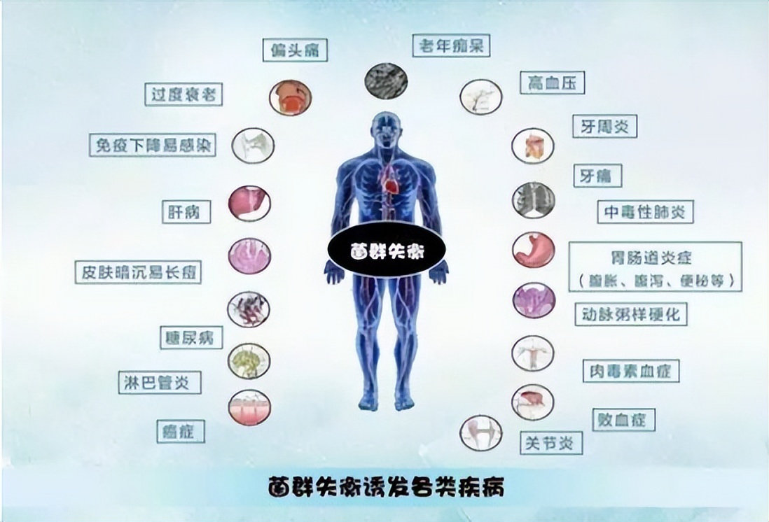 肠胃功能紊乱会引起口臭么,狗狗肠胃引起的口臭怎么办