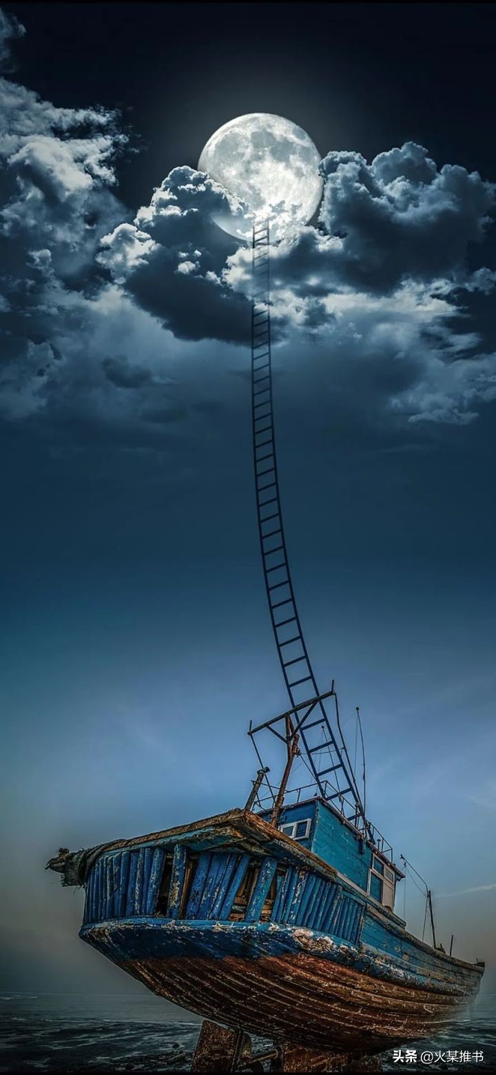 20年经典网文,50本网文佳作