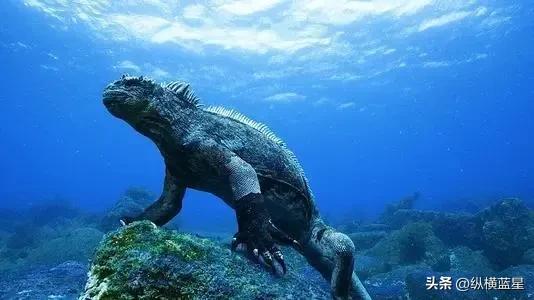 走进厄瓜多尔,怪异之旅探秘神秘的厄瓜多尔