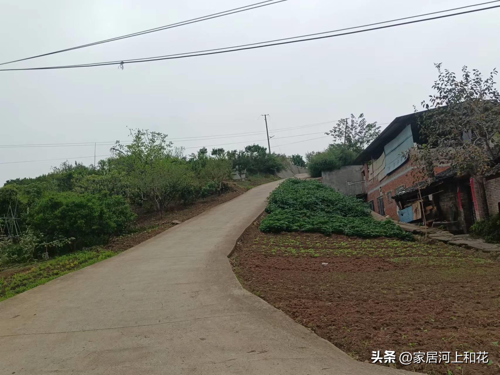 省油燃油车一个月养车成本,家用燃油车一年需要多少钱