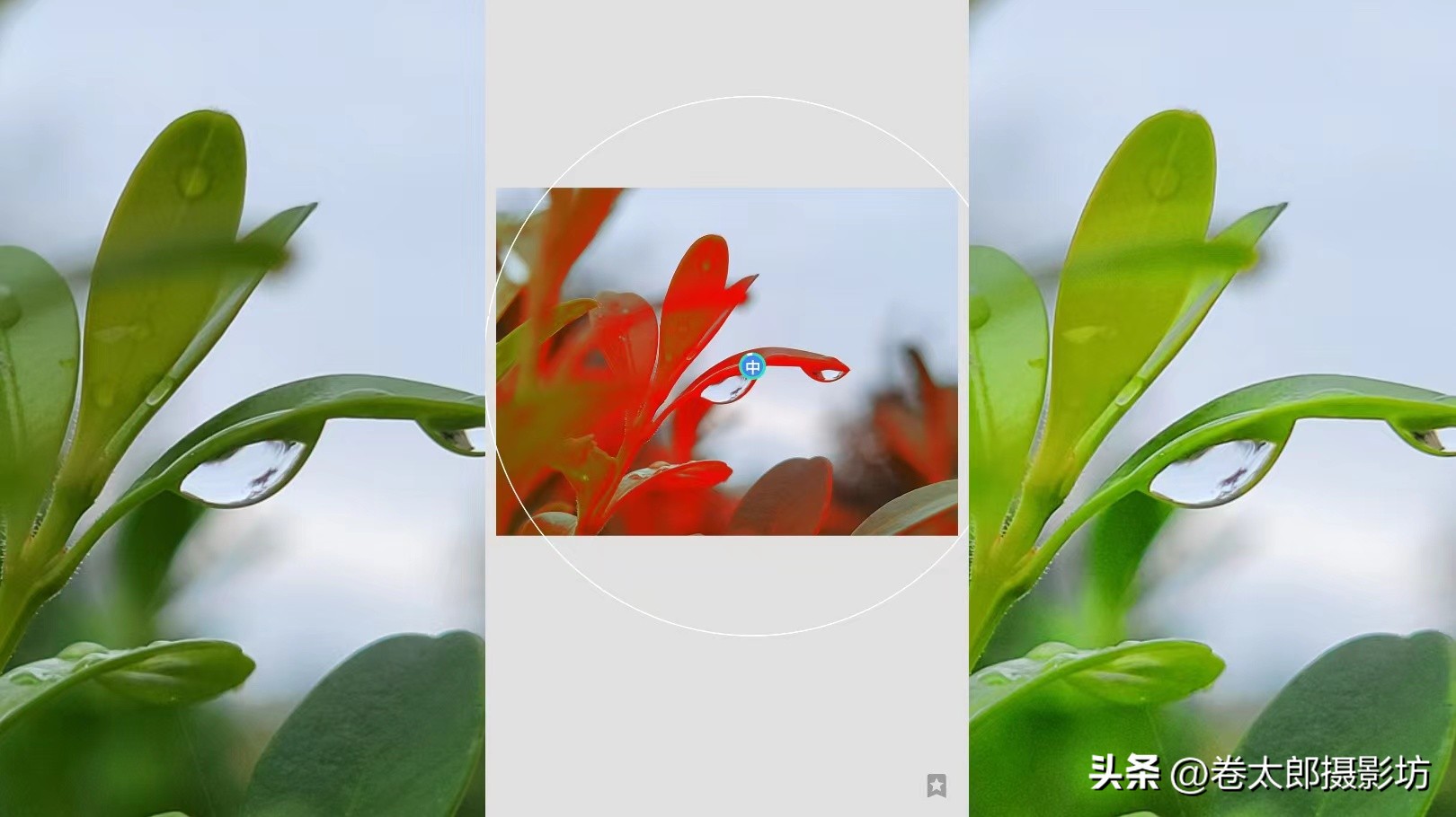 无后期不摄影教你手机修图速成,手机拍照后期怎么修图好看