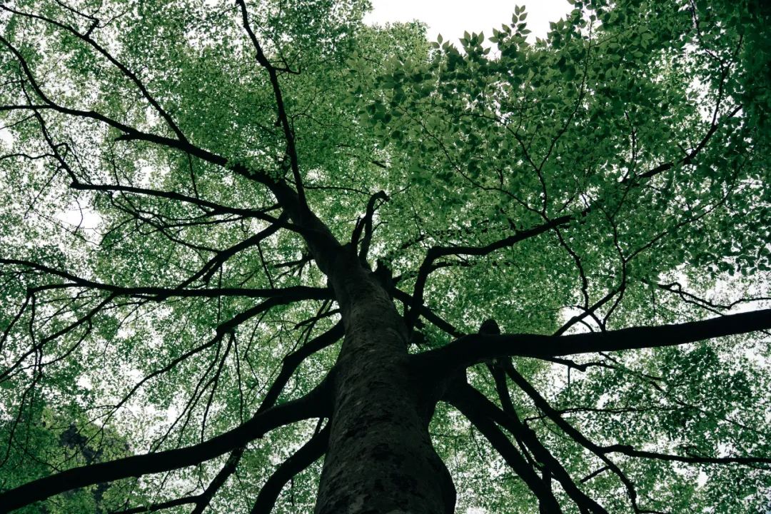 杭州临安大明山攻略,临安大明山游记